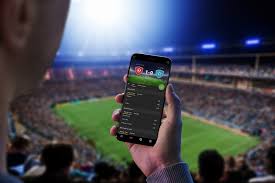 Discover the Future of Online Gambling with Bitwinner